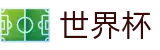 FIFA世界杯（中国）综合数据大厅_赛事信息服务与运营管理